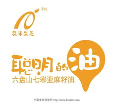 理解代理信息 定義、類(lèi)型與應(yīng)用場(chǎng)景